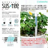 PLANCHU 観葉植物 ブレクナム シルバーレディ 5号樹脂鉢 ホワイト サスティー付き 受け皿付き 育て方説明書付き Blechnum gibbum ‘Silver Lady’ シダ植物
