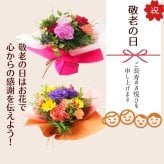 【送料無料】ラッピングのまま飾れるブーケ　スタンディングブーケ 敬老の日　ひまわり　即日発送　生花 花束 誕生日に 色を選んで 花はおまかせ花束（ブーケ）ラッピングのまま飾れる ラウンドタイプ 生花 花束 ブーケ プレゼント 父の日 誕生日 結婚祝い 記念日 お見舞 送別 新築祝い 母の日 敬老の日 ウエディング テーブル装花 御祝 出産 ホワイトデー お供え お中元 お歳暮