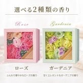 入浴剤 ギフト 【デイズインブルームBF バスフラワーギフト / バスフラワー ＆ バスフィズ】 花 入浴剤 プレゼント 女性がもらったら嬉しい 枯れないお花 花束代わり ボックス入り フラワーバス ソープフラワー お世話になりました 退職 プチギフト 送別会 お返し ご挨拶