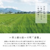 夏ラグ 夏用カーペット 国産い草カーペット せとのと 倉ノ戸 本間 2帖 2畳 柄上敷き 花ござ い草ラグ