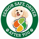 カーサイン 高齢者マーク SENIOR SAFE DRIVER ミディアムプードル ステッカー シール 直径13cm 肉球 日本製 車
