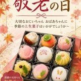季節の上生菓子 おまかせ12個入り
