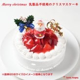 クリスマス乳製品アレルギー対応4号12センチ（2人分）☆ご予約受付中 2026年