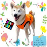 犬服 メッシュタンクトップ SECURITY セキュリティ スタイルN ( 大型犬用 )  ゴールデンレトリバー ラブラドールレトリバー