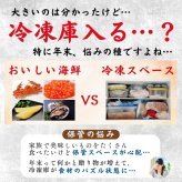 【予約】おせち2027【海鮮おせち 3段重 祝彩】冷凍 単品 個包装 重箱入り 和風 おせち 2人前 3人前 2025 予約 お節 豪華 高級 おせち料理 お正月 アワビ いくら ウニ 数の子 カニ ウニ 海鮮づくしおせち 単品 個包装おせち ギフト