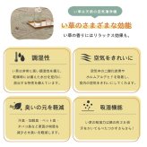 夏ラグ 夏用カーペット ラグ い草 金魚 和 風物詩 コンパクト 滑り止め不織布 自然素材 抗菌防臭 約180×240cm