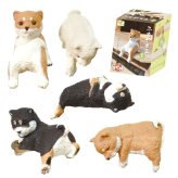 【5種類セット】 エール ガチャ ふちやすみ 柴犬 コンプリート 中身 ガチャガチャ
