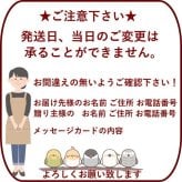 【ハロウィンのラッピングのまま飾れる花束】スタンディングブーケ 　即日発送　レビューを書いて送料無料　生花 花束 誕生日に 色を選んで 花はおまかせ花束（ブーケ）ラッピングのまま飾れる ラウンドタイプ 生花 花束 ブーケ プレゼント 父の日 誕生日 結婚祝い 記念日 お見舞 送別 新築祝い 母の日 敬老の日 ウエディング テーブル装花 御祝 出産 ホワイトデー お供え お中元 お歳暮