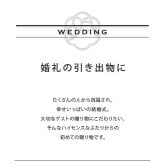 シロノバウム ひとひら 5個入 〈AS153〉 オーシャンテール スイーツ OCEAN&TERRE スウィーツ 出産内祝い 結婚内祝い 新築内祝い 結婚式 菓子折り 手土産 お菓子 otsv6