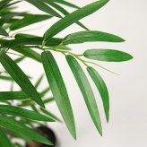 観葉植物 造花 バンブー BROWN 全高約180cm 大型 フェイクグリーン 高級 本物そっくり リアル おしゃれ 和風 和モダン インテリア 人工観葉植物 アーティフィシャルグリーン オフィス 店舗 ホテル 旅館 開店祝い 室内 リビング 玄関 風水 竹 フェイク
