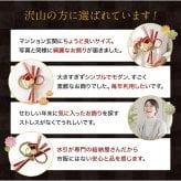 しめ縄 国産 日本製 おしゃれ 注連縄 しめ飾り 正月飾り 玄関 モダン 水引 リース 快 迎春 お正月飾り 干支 十二支 門松 .しめ縄.