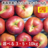 青森県産　りんご　ジョナゴールド　訳あり　10kg　送料無料！
