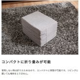 \クーポン配布中/ トレーニング用品 エクササイズ グッズ ミズノ mizuno トランポリン ラパン TRAMPOLINE lapin 体幹 フィットネス 室内用 宅トレ 全身運動 日本製 グレー ブラウン カバー洗濯可 折りたたみ クッション です