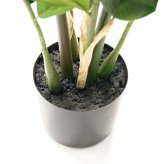 観葉植物 造花 ザミオクルカス BROWN 全高約70cm 卓上・小型 フェイクグリーン 本物そっくり おしゃれ インテリア 人工観葉植物 アーティフィシャルグリーン オフィス 店舗 ホテル 開店祝い 室内 ミニ ザミフォーリア 多肉 フェイク