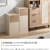 ゴミ箱 45L スリム 幅26cm 木目調 大理石柄 ストーン調 スイング式 ふた付き キャスター ペットボトル対応 30L 45L おしゃれ ダストボックス キッチン リビング モダン ホワイト グレージュ マーブルホワイト ストーングレージュ 組立品