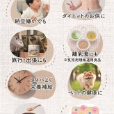 納豆パウダー サラサラ菌活 NATTO POWDER 90g 粉納豆 こな納豆 納豆粉 粉末納豆 国産大豆 納豆菌 添加物不使用 ネバネバしない 離乳食 乳児用規格適用食品 介護食 栄養補給 栄養サポート 食生活 食事サポート 料理 飲み物 ごはん おかず 毎日の食事 赤ちゃん 子供 高齢者 オフィス ランチ 旅行 出張 携帯 持ち運び 日本製