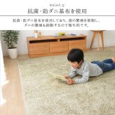 ラグ カーペット 日本 抗菌 消臭 清潔 オーダー 防炎 アレルキャッチャー 抗アレル物質 ダニ対策 シャギー 無地 約2.4畳 約150×250cm
