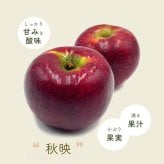 長野県産りんご3兄弟セット シナノスイート 秋映 シナノゴールド ご贈答 果物 フルーツ お取り寄せ 産地直送 【送料無料(一部地域除く)】