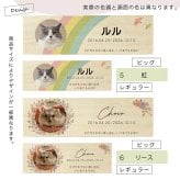  遺毛ケース 桐 写真入り ペット 毛 ひげ 髭 ヒゲ 犬 猫 鳥 ハムスター うさぎ 名入れ フルカラー メモリアルケース メッセージ 愛犬 愛猫