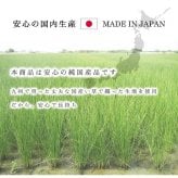 夏ラグ 夏用カーペット ラグ 純国産 国産 日本製 い草 抗菌防臭 自然素材 モダン 『DXカラフルブロック』 約191×191cm