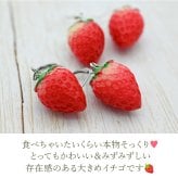 【在庫限り】パッと目を引く大きなイチゴが揺れる フックピアス 金属アレルギー対応 ステンレス製 春 赤い実 ロング 大ぶり