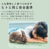 【砂糖不使用】小動物用フリーズドライマンゴー 20g 40g 60g 1袋あたり約35枚入り スライス ウサギ ハムスター モルモット インコ リス チンチラ ハリネズミ モモンガ おやつ 人も食べれる 完全無添加 砂糖ゼロ フルーツ 乾燥 果物 ペット 動物 中国産 送料無料