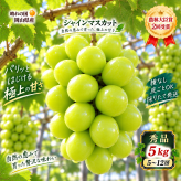 【予約】岡山県産 シャインマスカット 5kg 5～12房 贈答用秀品 フルーツ