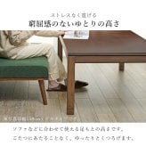 リビングコタツ シェルタ (約)幅120×奥行80×高さ51(継脚時56)cm ナチュラル 組立式 天然木のぬくもりを感じられるリビングこたつテーブル ５ｃｍの継脚付きでソファや座椅子に合わせて高さを変えられます ブラウン