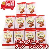 (全国送料無料) お菓子 詰め合わせ ミスターイトウ 2つのベリーのグラノーラビスケット 21g（10コ） メール便 (4901050136694sx2m)