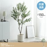 照明 ライト ナチュレ 観葉植物 オリーブ フェイクグリーン 人工 室内 リビング オフィス 一人暮らし 緑 光触媒 空気清浄 消臭 抗菌 防汚 ホルムアルデヒド分解 高さ150cm 造花 おしゃれ 植木 鉢植え 観賞用 グリーン