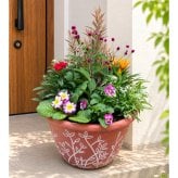 季節の寄せ植え リーフ柄 軽量プラスチック鉢 内径24cm  （レッド ・4色展開）６～7種類のお花で構成 ラッピング不可 ギフトメッセージOK