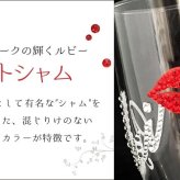 還暦祝い 長寿祝い 名入れ 名前入り 彼女 彼氏 お祝い ギフト 贈答品 スワロ 豪華 インテリア 友達 デコ シャンパングラス スワロフスキー デコシャン リップ グラス プレゼント 誕生日 結婚 記念 周年 父の日 男性 女性 定年 退職 卒業