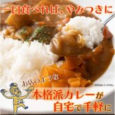 本格派 レトルトカレー 詰め合わせ 食べ比べセット 3種 計5食分 カレー レトルト 温めるだけ 惣菜 ご飯のお供 おかず ポスト投函便
