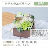 <季節のお花おまかせ>フラワーギフトボックスアレンジメント　リボン付き　 そのまま飾れる 生花 花市場から直送  父の日 お祝い お誕生日 結婚祝い フラワーボックス バラ カーネーション かわいい おしゃれ 女性 ギフト プレゼント 即日発送 手提げ付き  メッセージカード無料