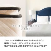 ベッド 寝具 ポケットコイルマットレス 幅80cm 奥行き180cm 高さ46cm マットレス付き すのこ セミシングルショート 収納 マットレス ロータイプ ハイタイプ 頑丈 寝室 下収納 シンプル