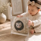 フェレット ガラスブロック 赤ちゃん ハムスター 写真立て オーダーメイド 感謝 高級 うちの子記念日 うちの子 写真入り ディスプレイ 肉球 ペットメモリアル 犬 サプライズ プレゼント おしゃれ 名入れ 記念品 ペット メモリアル 贈り物 ペットロス メモリアルフォトフレーム 記念日 ペット写真 誕生日 メモリアルプレート 愛犬家 ギフト 置き物 フォトフレーム モルモット 虹の橋【c01】