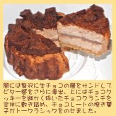 クリスマスチョコレートアイスケーキ【4～7号】 [クリスマスケーキ アイスクリームケーキ クリスマスチョコ チョコケーキ]