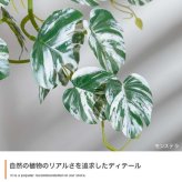 【高さ55cm】光触媒人工観葉植物 パキラ 幅35cm×奥行35cm×高さ55cm コンパクト 天然木 お部屋に気軽に飾れて空間を美しく彩るフェイクグリーン 本物の植物のようなリアルな質感とインテリアに馴染む風合いが魅力です
