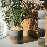 植木鉢 おしゃれ 大型 14号 11号 L M サイズ 鉢カバー KONTON コントン コーテス ストラータ 丸型 ラウンド ファイバーセメント セメント 屋外 室内 高級 北欧 モダン ナチュラル 観葉植物用 シンボルツリー サボテン 多肉植物 特大 玄関 プランター Wグラデ Sグラデ