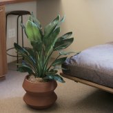 鉢カバー おしゃれ 大型 陶器 観葉植物 8寸 7寸 KONTON コントン ルーケト エメ LC-004 L M オフホワイト ダークグレー レッドクレイ ベージュ 約11号 約10号 底穴なし 屋内 リビング 玄関 オフィス 個性的 モダン 鉢隠し 陶器鉢カバー
