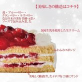 【予約受付中】クリスマスケーキ 苺と木の実のショートケーキ 5号 15cmクリスマス2025(x21004)
