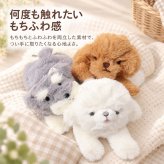 ぬいぐるみ かわいい 通販 りぶはあと 動物 アニマル 猫 犬 ふわふわ 癒し リストレスト マスコット 柴犬 トイプードル チワワ ビションフリーゼ シュナウザー パンダ 三毛猫 ミケネコ カワウソ ペンギン 癒しグッズ 手のひらサイズ ギフト 雑貨