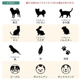  遺毛ケース 桐 名入れ ペット 毛 ひげ 髭 ヒゲ 犬 猫 鳥 ハムスター うさぎメモリアルケース メッセージ 愛犬 愛猫