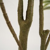 観葉植物 造花 ソングオブジャマイカ BROWN 全高約180cm 大型 フェイクグリーン 高級 本物そっくり リアル おしゃれ スタイリッシュ インテリア 人工観葉植物 アーティフィシャルグリーン モダン オフィス 店舗 ホテル 開店祝い 室内 リビング 玄関 風水 ドラセナ