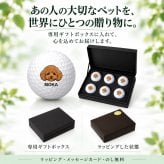 ペット似顔絵 ゴルフボール 6球 カラー 名入れ ペットの写真から作る オーダーメイド 犬 猫 うさぎ ハムスター インコ カメ キャロウェイ WARBIRD オリジナル ゴルフ プレゼント ペット好き 誕生日 記念日 ギフト
