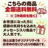＜即日対応可＞ お世話になりました 2枚入り×24袋【熨斗対応可】贈り物 退職 お菓子 母の日 父の日 お中元 お歳暮 退社 挨拶 感謝 お礼 引っ越し 個包装 大量 プチギフト ギフト 結婚式 転職 異動 卒業 配布  