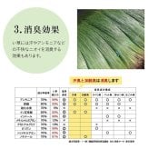 夏ラグ 夏用カーペット 日本製 国産 純国産 沖縄ビーグ ラグ い草 約191×191cm (裏:不織布）