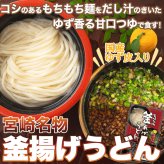 宮崎名物 釜あげうどん 6食分 つゆ 薬味付き うどん 生麺 つゆ付き 麺 郷土料理 宮崎 ポスト投函便