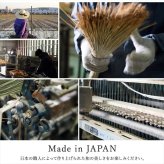 置き畳 ユニット畳 システム畳 国産 日本製 ナチュラルスタイル い草 消臭 抗菌防臭 市松 約82×82×2.3cm 2P 同色2枚組