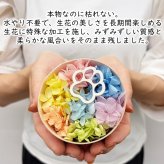買って被災地応援!15時即日出荷 プリザーブドフラワー  (ミニョン)  ペット 法事 亡くなった 仏花  お供え 位牌花 写真付き 遺影 ペット用 仏具 虹 猫 犬 鳥 ハムスター1周忌 お悔み 供養  3回忌 13回忌 小さめ 虹の橋